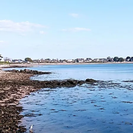 Daire Le Kenav - A 300 M Du Port *